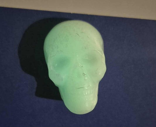 Glow In the Dark Skull Magnet