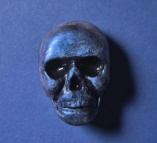 Blue Skull Magnets