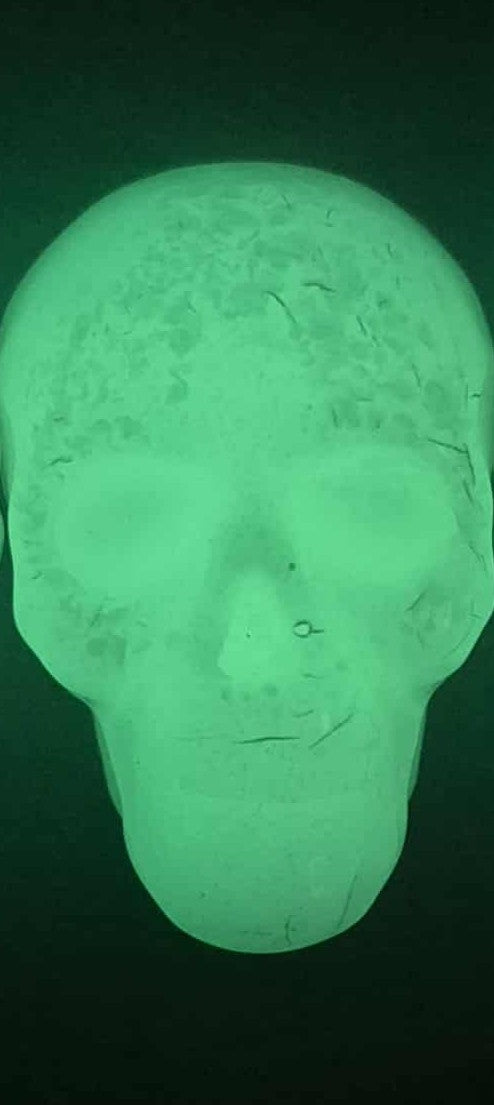 Glow In the Dark Skull Magnet